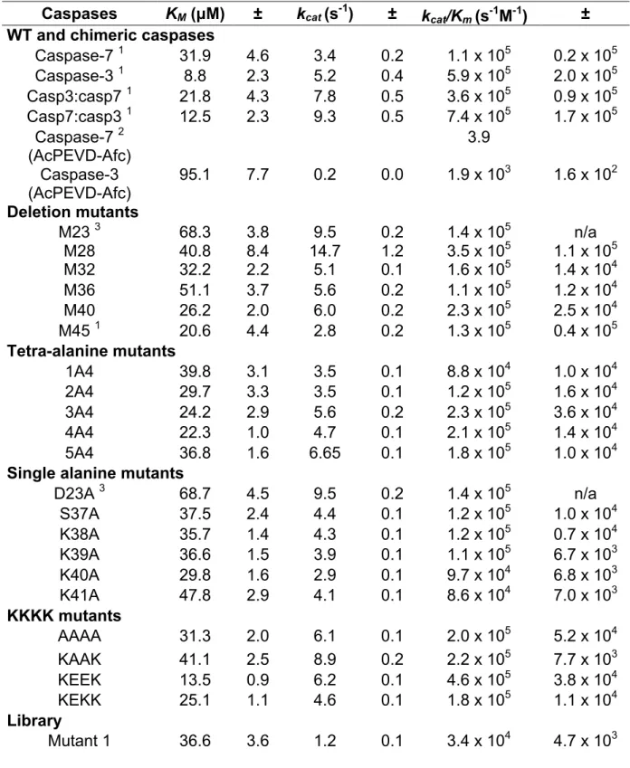 Table  SI  Kinetic  parameters  on  AcDEVD-Afc  substrate  of  wild-type  and  mutant  caspases used in this study
