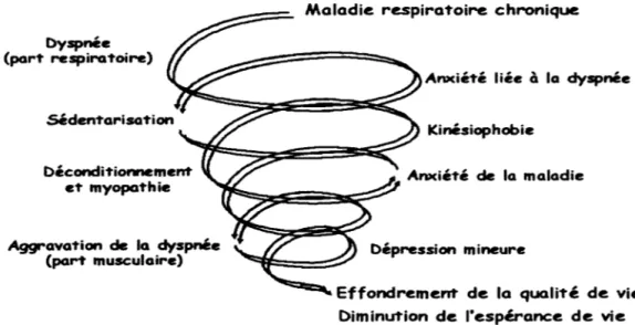 Figure  1.1  - Spirale du déconditionnement physique 