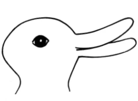 Figure 3. Canard ou lapin ? 