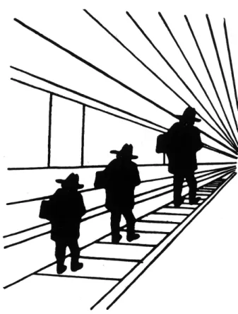 Figure 11. Même taille ? 