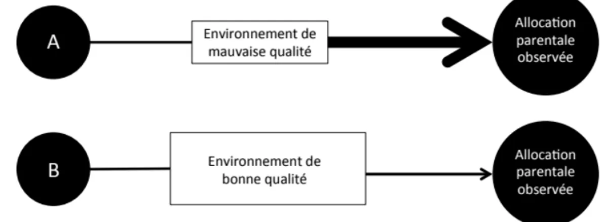 Figure 1.2 L’allocation parentale observée peut être similaire même si l’environnement dans 