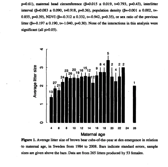 Figure 1. Average litter size of  brown bear cubs-of-the-year at  den emergence in  relation  -to  maternal  age, in  Sweden  from  1984 to 2008
