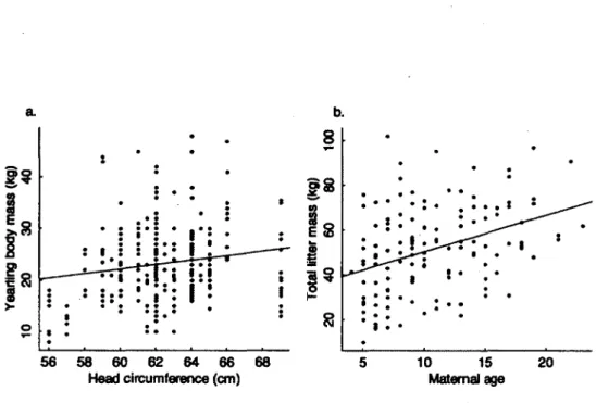 Figure 2. Maternal effects  on body mass of  yearling brown  bears in Sweden from  1984  to 2007;  a