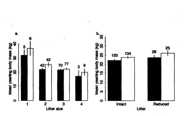 Figure 3.  Mean  body  mass  (kg)  of  male  (open  bars)  and  female  (solid  bars)  yearling  brown bears a