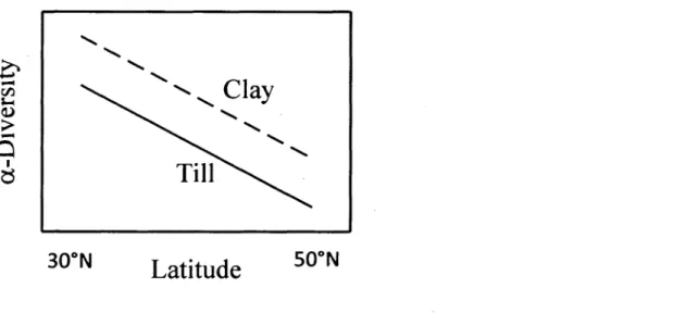 Figure 1.  Theoretical  relationship  between  latitude  and  species  a-diversity  whereby  parent  material  (clay  vs