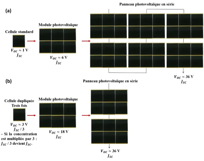 Figure  2-15 :  Représentation  schématique  des  panneaux  photovoltaïques;  (a)  cas  d’une  cellule standard et (b) cas d’une structure dupliquée