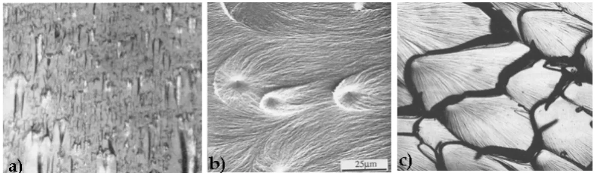 Figure 1.7: Conic marks observed on dynamic fracture surfaces of a)glass from [ 70 ] b) polystyrene and polyurethane, from [ 9 ]