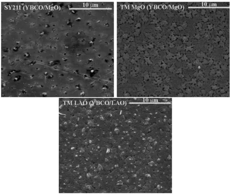 Figure 3.2 – Etat de surface des films SY 211, T M M gO et T M LAO . Image prises en microscopie ´electronique `a balayage.
