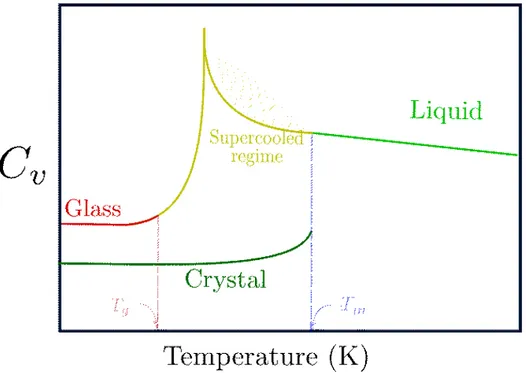 Figure 2 – Schéma du comportement de la capacité calorifique en fonction de la température d’un liquide formant des verres avec (vert avant T m ) et sans cristallisation (jaune/rouge avant)