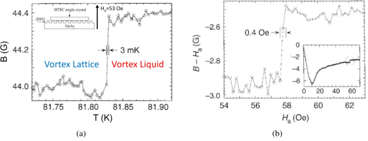 Figure 1.12: Vortex lattice melting observed through the local magnetic induction measurements
