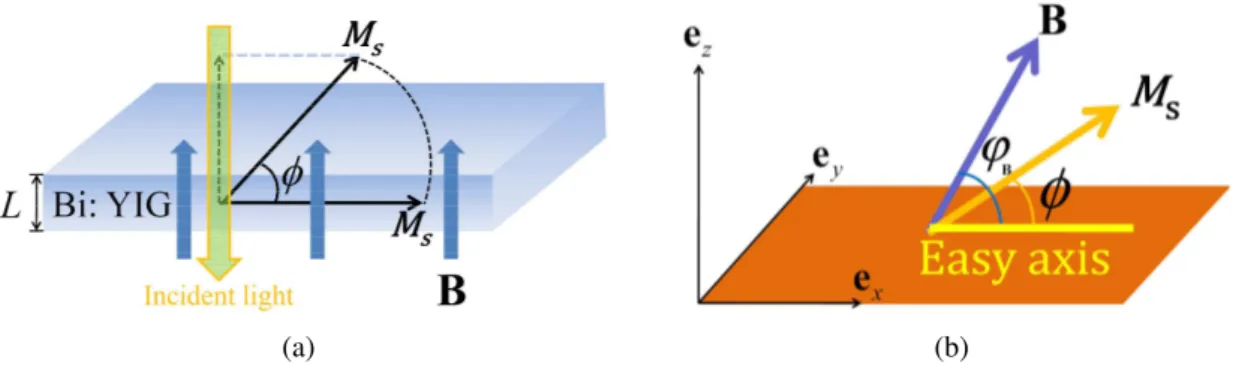 Figure 2.3: (a) The perpendicular magnetic field B induces the rotation of the magnetization vector M s .
