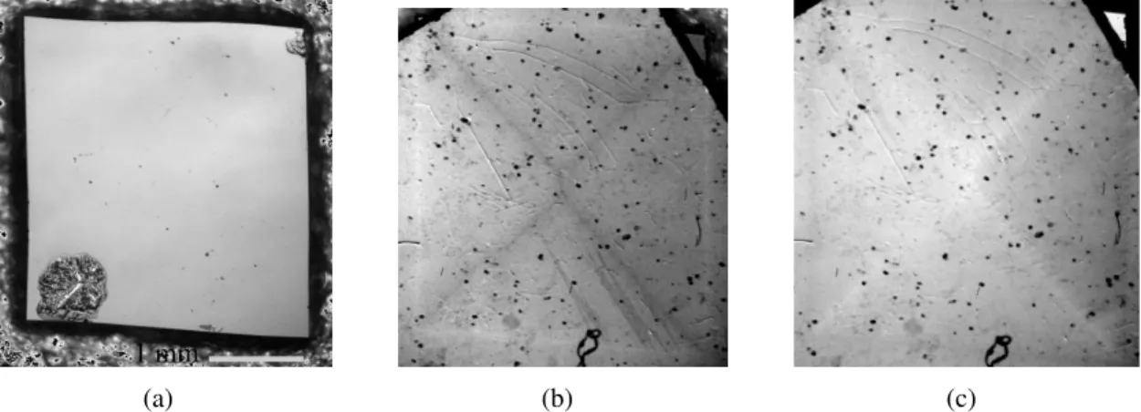 Figure 2.10: (a) Photograph of the NbN film. (b) Direct magneto-optical image at full penetration, T = 11 K