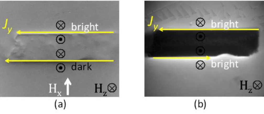 Figure 4.7: Comparison between a DMO image with field modulation along the x-axis (left) and a direct