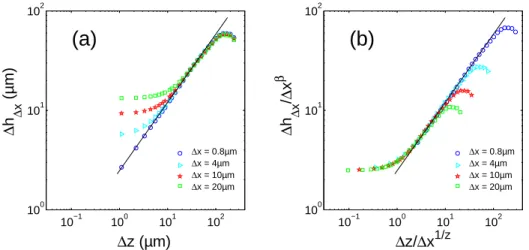 Figure 2.8: (a): 2D correlation function variations computed on a aluminum alloy fracture surface