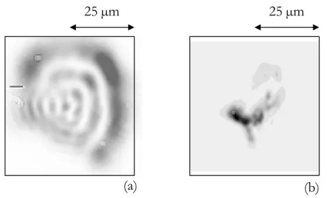 Figure III-4 : Taches focales obtenues avec (III-4a) et sans (III-4b) miroir  déformable, en défocalisant la parabole de 1 mm