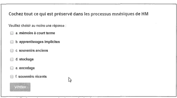 Figure 4.7. Question avec plusieurs choix de réponse. 