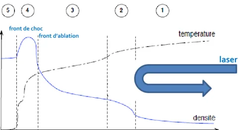 Figure 1.3 : Schéma de la structure d’un plasma créé par irradiation d’une cible solide avec un laser  nanoseconde