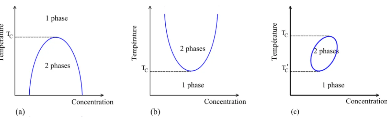Figure 1.9  Représentation schématique des principales forces attractives et répulsives intervenant dans le gel poly(NIPAAm) lors des variations de température.