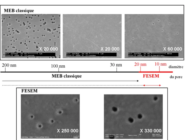 Figure 2.4  Limitation de la Microscopie Electronique à Balayage (MEB) pour l'analyse de membranes polymère en PVDF : intérêt du MEB à eet de champ.