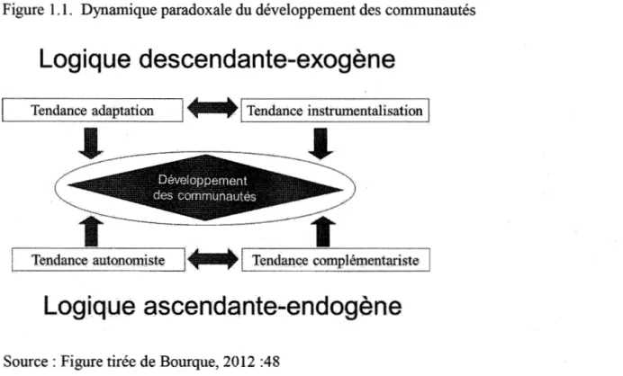 Figure  1.1.  Dynamique paradoxale du développement des communautés 