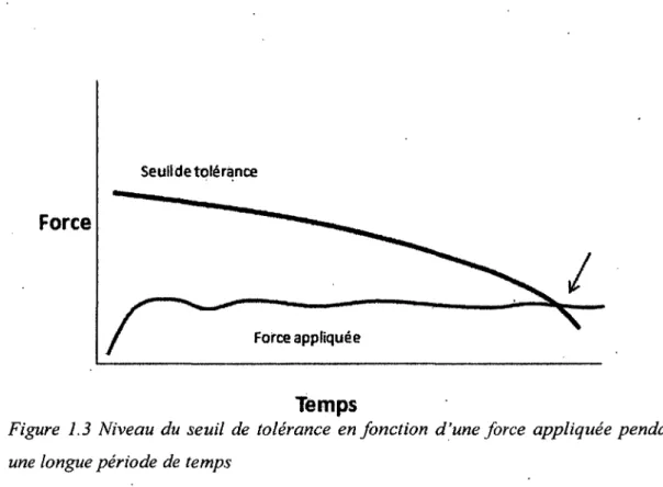 Figure  1.3  Niveau  du  seuil  de  tolérance  en fonction  d ’une force  appliquée pendant  une longue période de temps