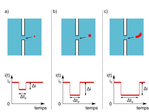 Figure 1.5  Inuence de la forme géométrique de la particule. d'intensité, ∆t p , sera longue (cf