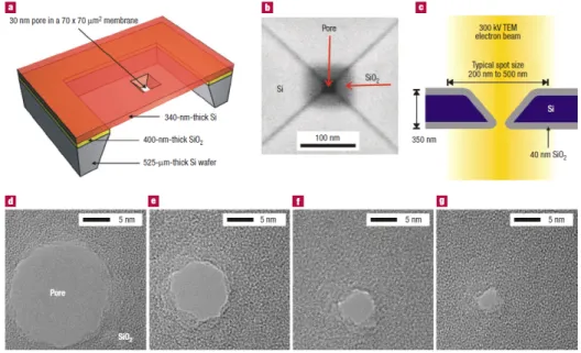 Figure 1.14  Processus de fabrication d'un nanopore d'oxyde de silicium par faisceau d'électron [41].