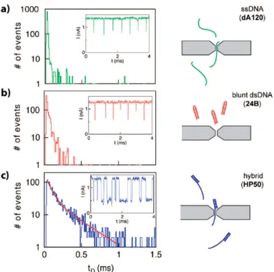 Figure 1.16  Histogramme de la durée des événements de translocation pour diérentes structures de molécules