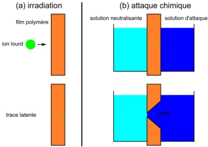 Figure 1.21  Synthèse d'un pore à trace attaquée. Il se déroule en deux étapes :