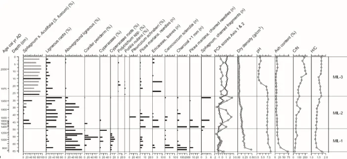 Figure 4. Plant macrofossil diagram and physical and chemical proxies for MIL. For Sphagna, the bars indicate the total for each section (black) and the main species identified (grey)