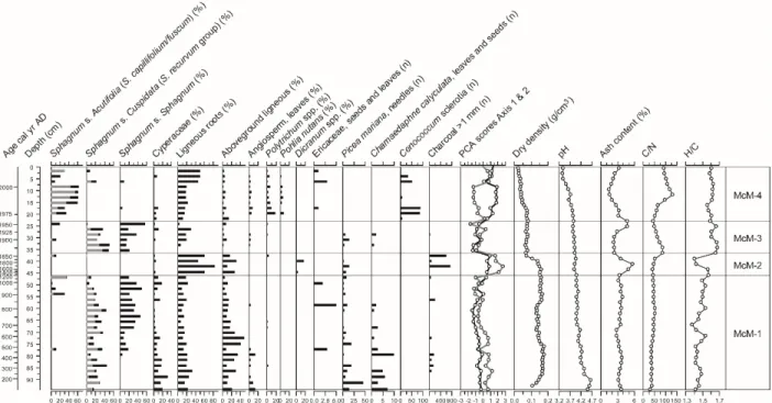Figure 5. Plant macrofossil diagram and physical and chemical proxies for McM. For Sphagna, the bars indicate the total for each section (black) and the main species identified (grey)