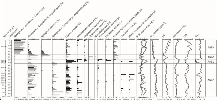 Figure 6. Plant macrofossil diagram and physical and chemical proxies for ANZ. For Sphagna, the bars indicate the total for each section (black) and the main species identified (grey)