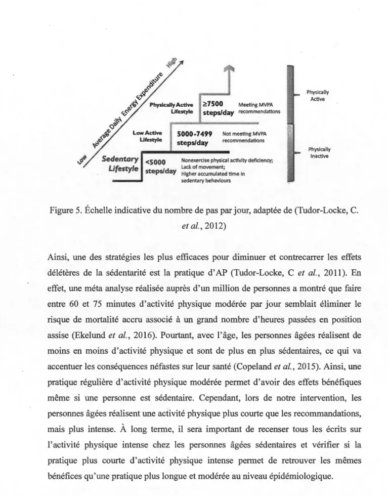 Figure 5.  Échelle indicative du nombre de pas par jour, adaptée de (Tudor-Locke, C. 