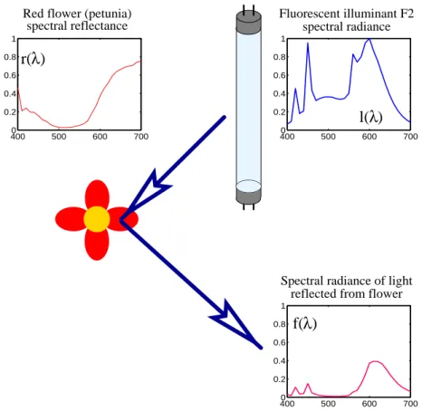 Figure 2.2: A simple spectral model for the interaction between light and surfaces. The spectral radiance f () of the light reflected from a surface with a spectral reflectance r() , illuminated by an