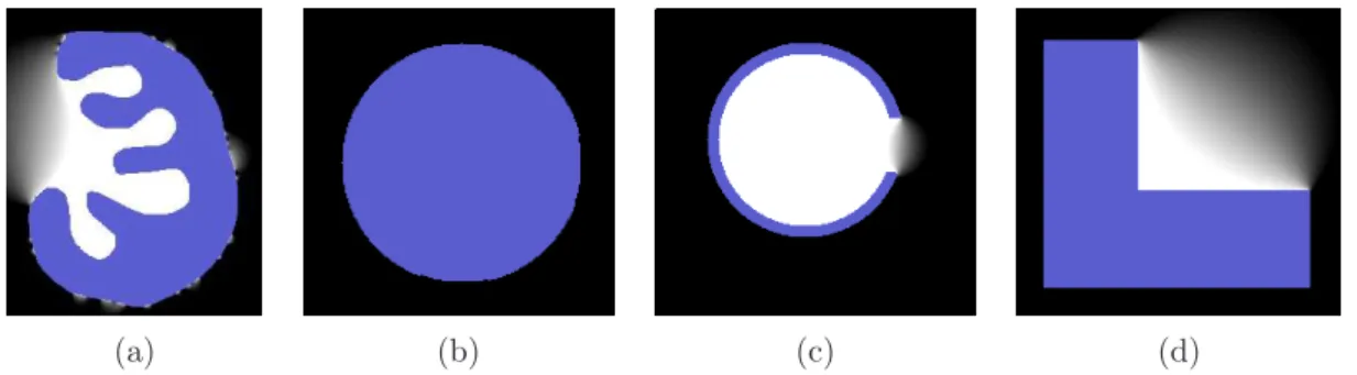 Figure 2.5: Fuzzy landscapes obtained with Equation 2.10 . The defect presented in Figure