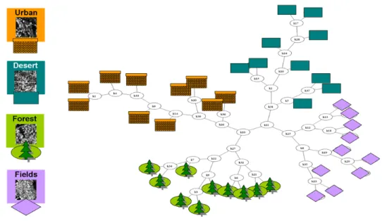Figure 14: Description visuelle des classes utilis´ees (`a gauche) et classification hi´erarchique des valeurs FCD (`a droite), appliqu´ee `a 44 images de TerraSAR-X de taille 64 × 64 avec Equivalent Number of Looks (ENL) ´egal `a 4