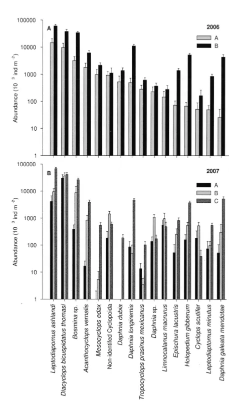 Fig.  1.4.  Average abundance of zooplankton taxa in the zooplankton assemblages of  the  environmental  groups  in (A)  2006  and (B)  2007