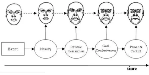 Figure 4.1: The facial expression process for anger according to Scherer’s CPT