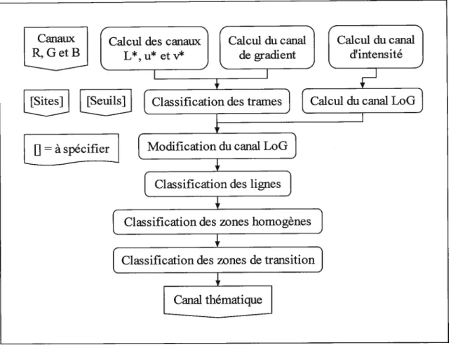 Figure 6. Algorithme de classification