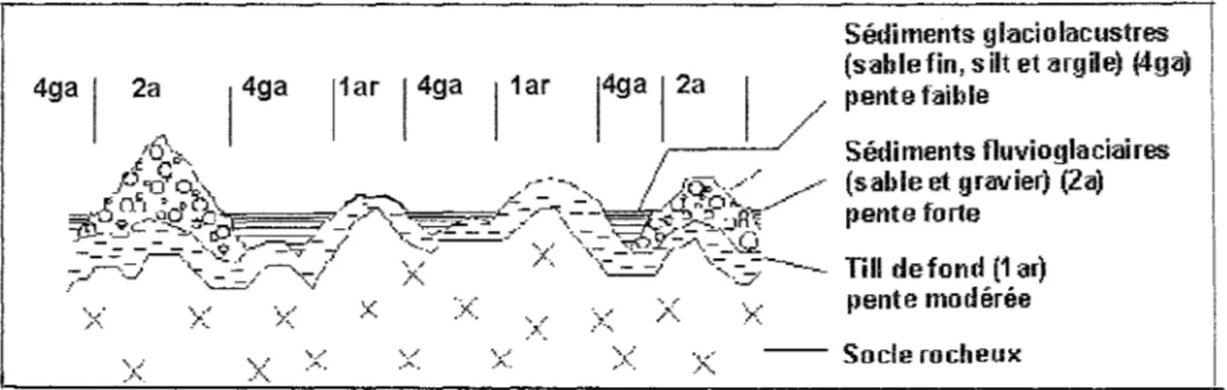 Figure 1 - Coupe transversale des dépôts de surface typique d'un paysage glaciaire  à  faible topographie 
