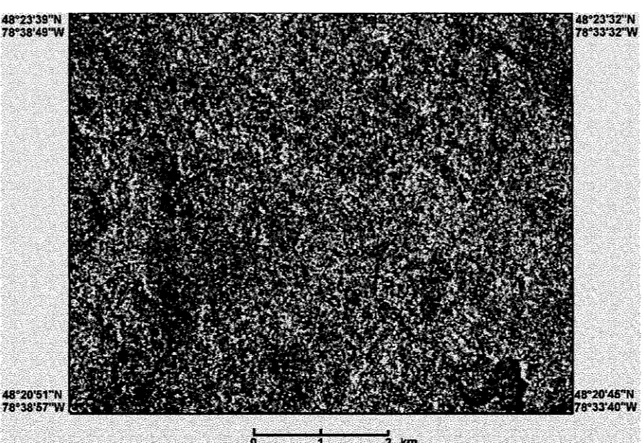 Figure 6 - Image brute de résolution standard (S1) pour la région A 