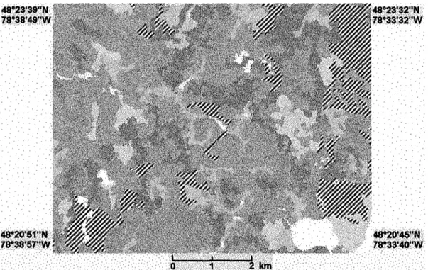 Figure 1  o - Végétation dominante de la région A 