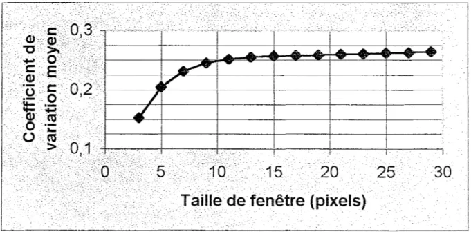 Figure 13 - Coefficient de variation d'une surface homogène de l'image de résolution  standard (11) en fonction de la taille de la fenêtre 