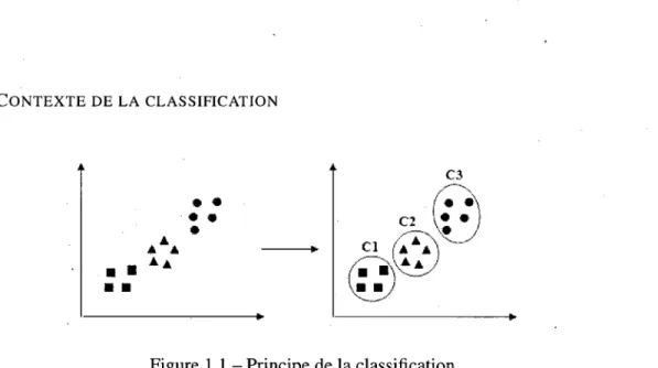 Figure 1.1 - Principe de la classification 