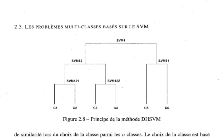 Figure 2.8 - Principe de la methode DHSVM 