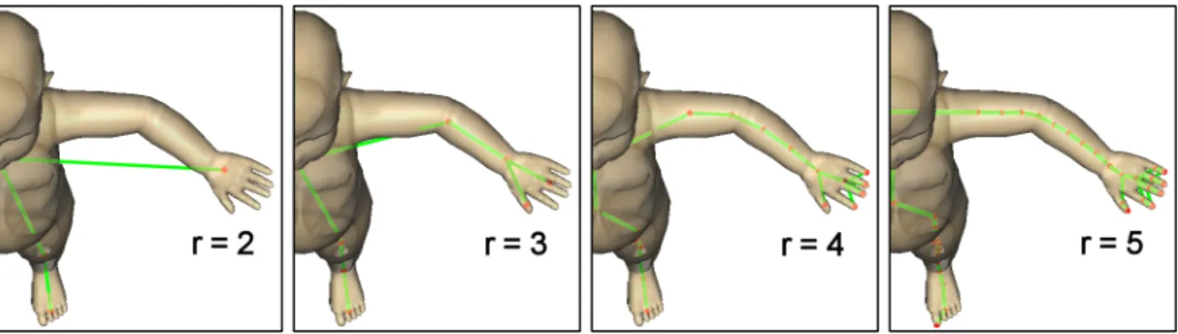 Fig. 2.10 – D´etail du mod`ele baby. Les cinq doigts apparaissent `a la r´esolution r = 4.