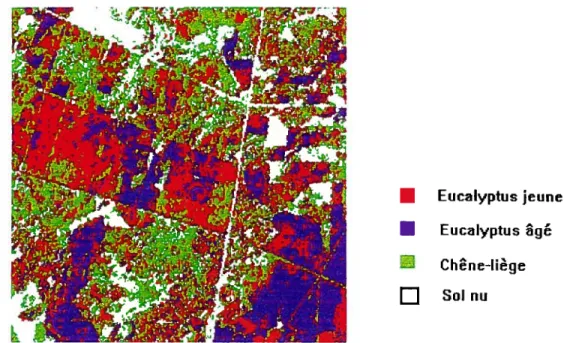 Figure 6.6 Résultat de la classification de Mamora obtenue à l’aide de l’algorithme SEM