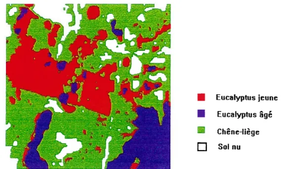 Figure 7.1 Résultat de la classification markovienne de Mamora obtenue à l’aide