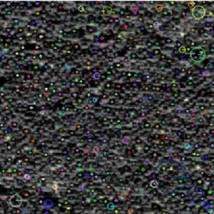 Figure  3.3 :  exemple de points­clés  SIFT  détectés  par  l’algorithme  SIFT++  sur une  texture WorldView­2  (la taille des cercles indique l’échelle du point­clé,  les couleurs  n’ont pas de signiﬁcation particulière)