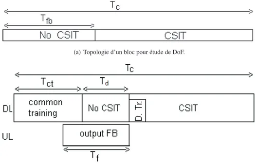 Figure 1.3: Topologie d’un bloc pour étude de DoF et de net DoF.